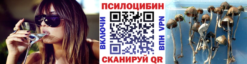 Псилоцибиновые грибы мухоморы  Онега 