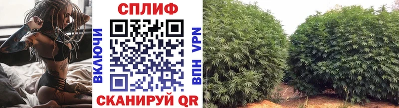 Шишки марихуана гибрид  наркошоп  мега онион  площадка телеграм  Онега 